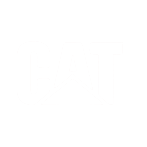 Caterpillar